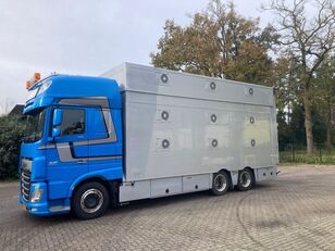 DAF XF 510 Cuppers belast beweegbaar Retarder camión para transporte de ganado