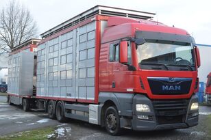 MAN TGX 26.420 Euro 6/ AT 18/73 camión para transporte de ganado + remolque para transporte de ganado