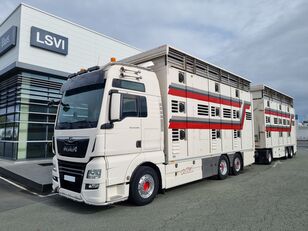 MAN TGX 26.500 2 étages bovins camión para transporte de ganado + remolque para transporte de ganado