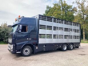 Volvo FH 13.520 6x2/4 1/2/3 stock Livestock camión para transporte de ganado