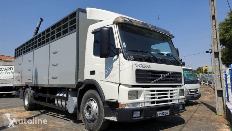 Volvo FM camión para transporte de ganado
