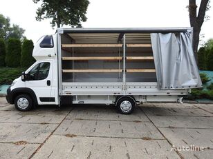 venta de Peugeot BOXER P+P camión toldo imagen 7 Peugeot BOXER P+P camión toldo imagen 7